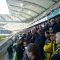 DSC00970.JPG
